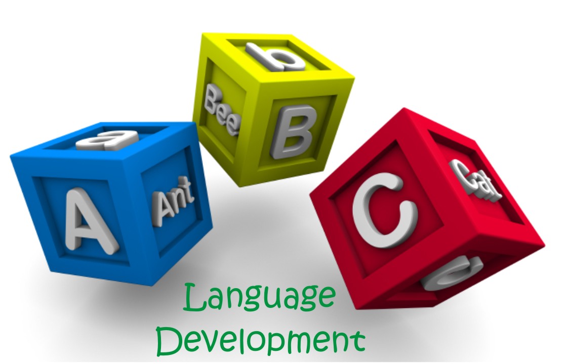 Dmit Software provider in india